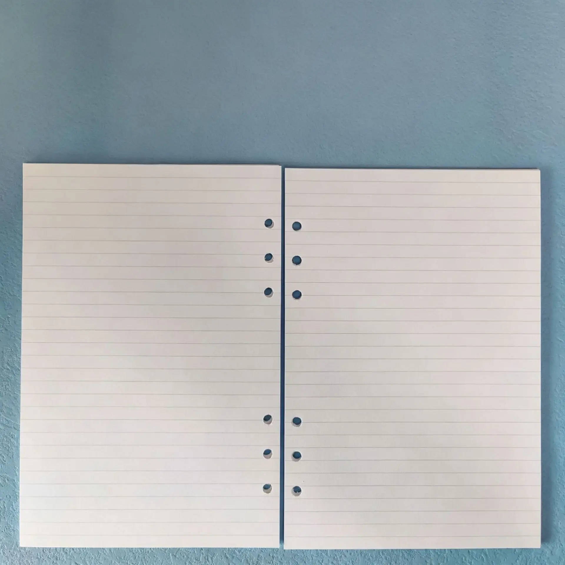 Ricambio Fogli Sciolti A5 A6 A - Notebook Dotted A5 recensione e prezzo